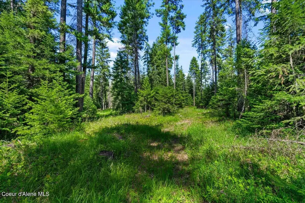28801 N Lewellen Creek Road Athol ID 83801