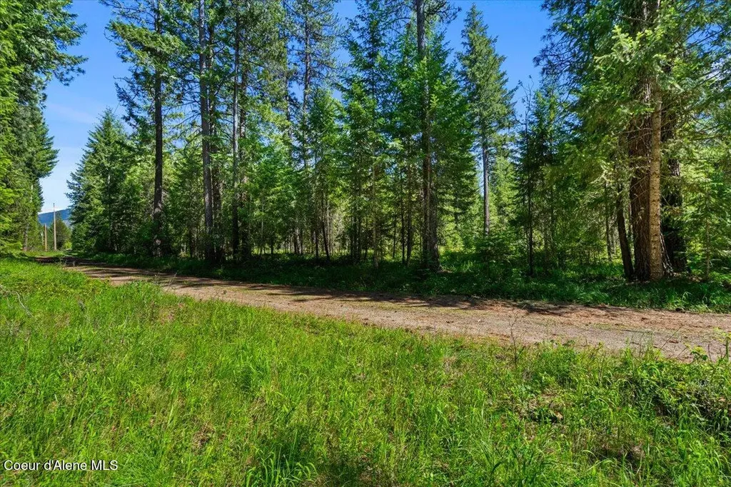 28801 N Lewellen Creek Road Athol ID 83801