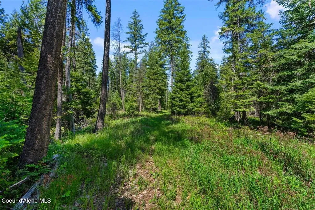 28801 N Lewellen Creek Road Athol ID 83801