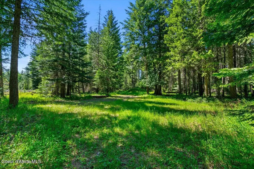 28801 N Lewellen Creek Road Athol ID 83801