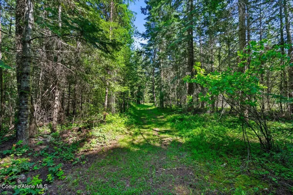 28801 N Lewellen Creek Road Athol ID 83801