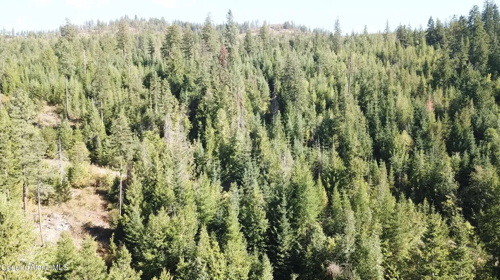 Lot 1 Riverbend Ridge Sagle ID 83860