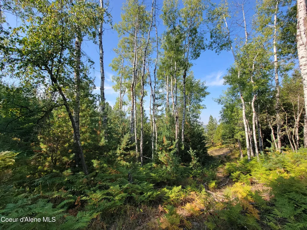 Lot J Frosty Lane Pinehurst ID 83850