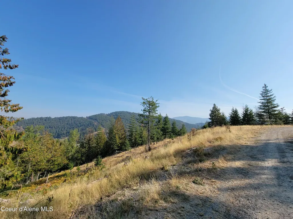 Lot J Frosty Lane Pinehurst ID 83850