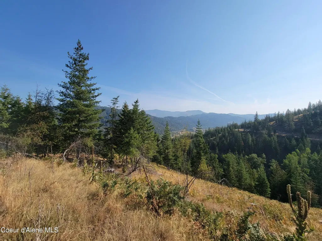 Lot J Frosty Lane Pinehurst ID 83850