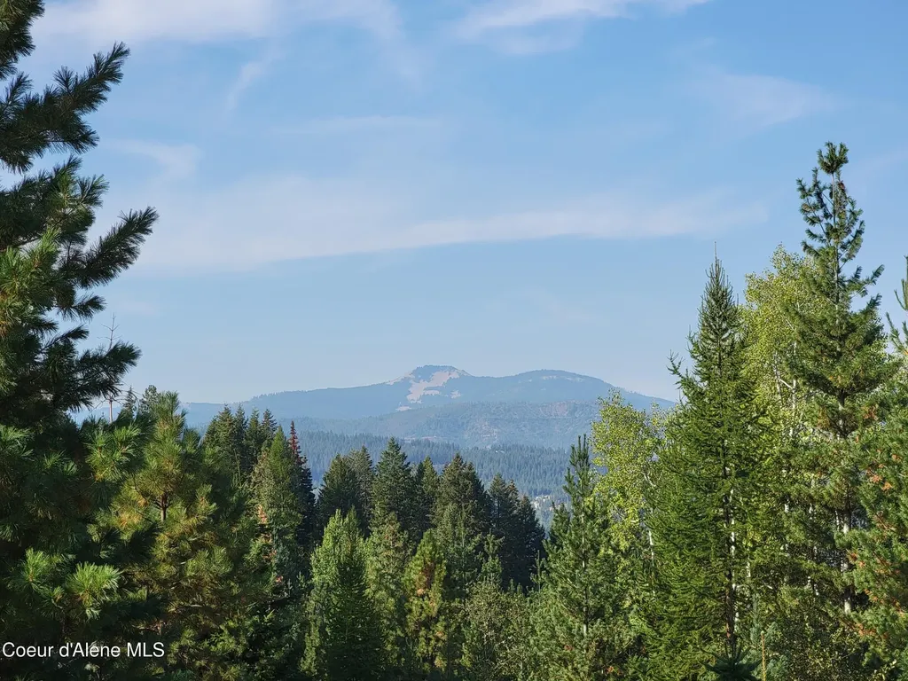 Lot J Frosty Lane Pinehurst ID 83850