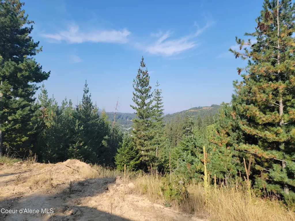 Lot J Frosty Lane Pinehurst ID 83850