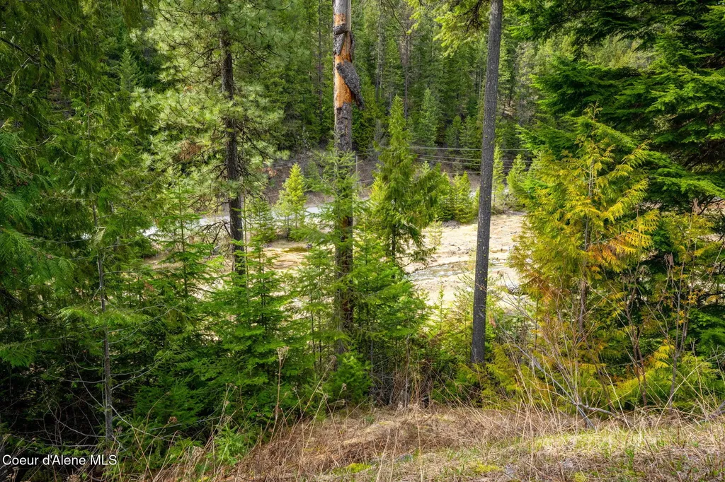 1706 Nine Mile Road Wallace ID 83873