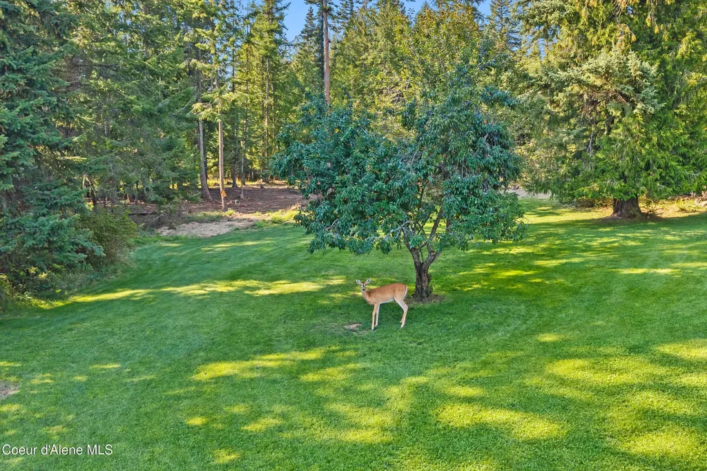 1702 Eastside Road Priest River ID 83856