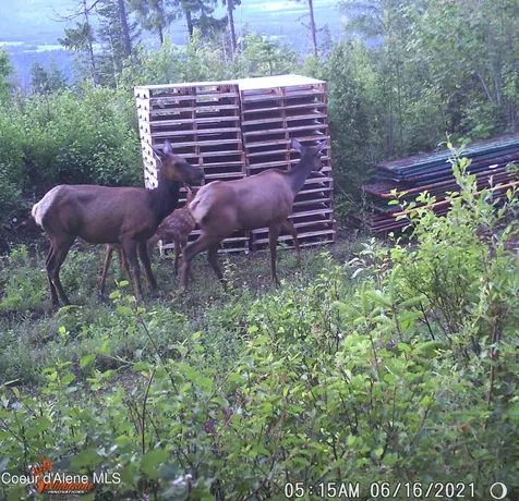 2900 Juniper Lane Naples ID 83805