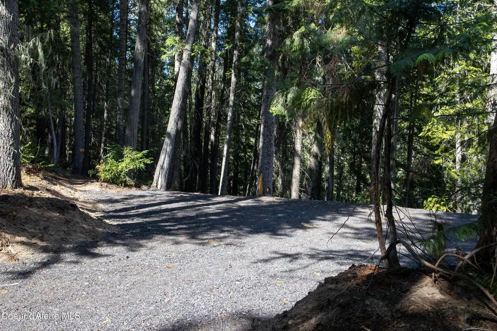 Nka Parcel 1 Highway 12 Unincorporated ID 83525