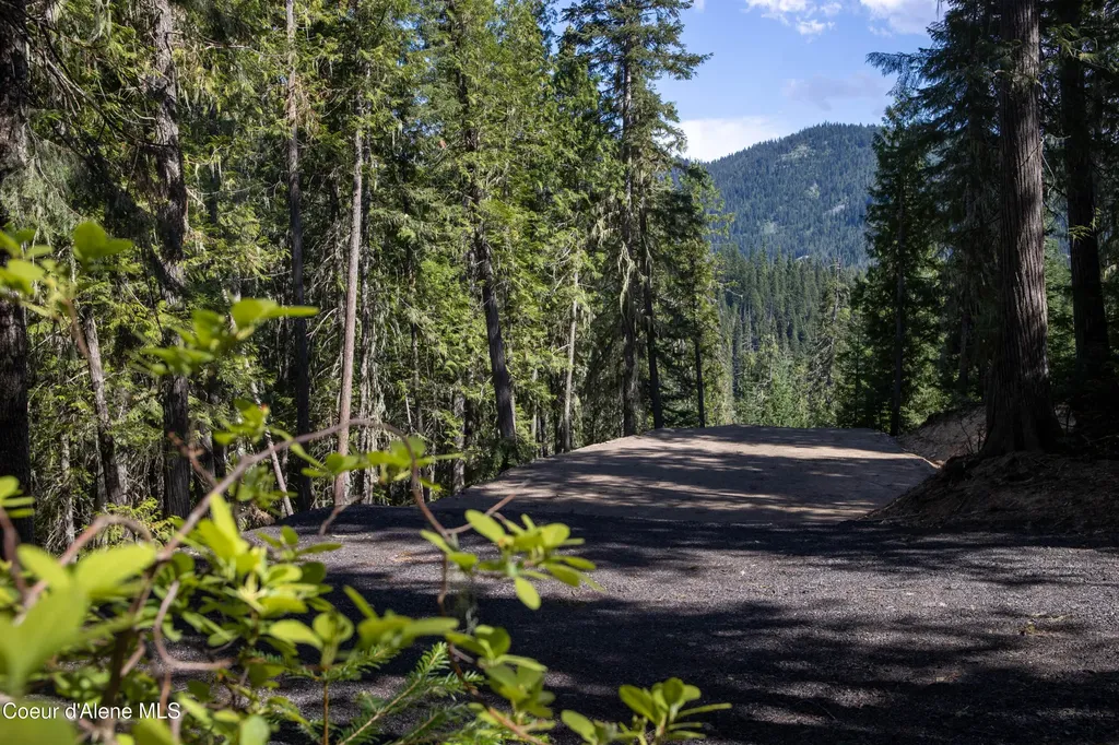 Nka Parcel 1 Highway 12 Unincorporated ID 83525