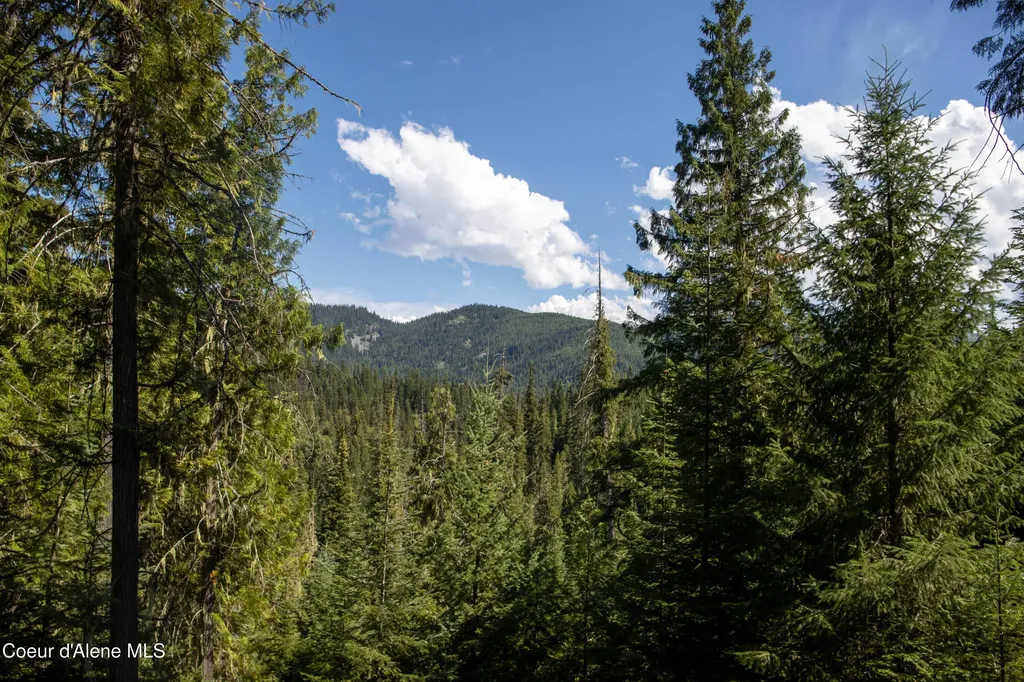 Nka Parcel 1 Highway 12 Unincorporated ID 83525
