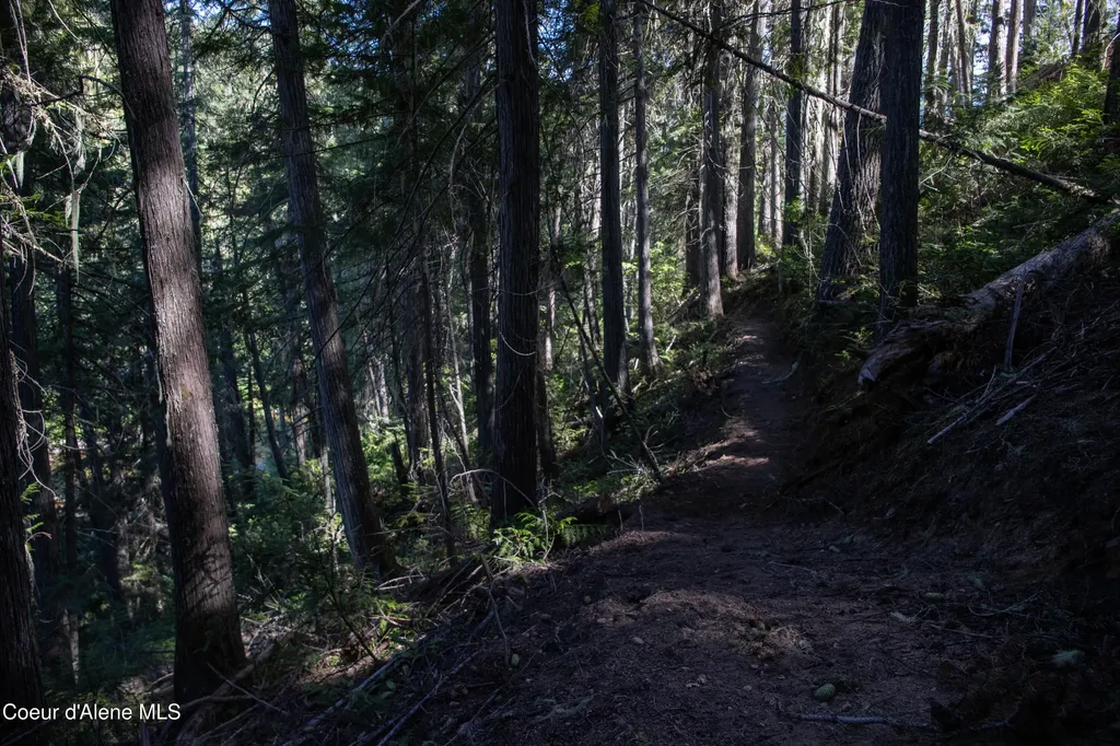 Nka Parcel 1 Highway 12 Unincorporated ID 83525