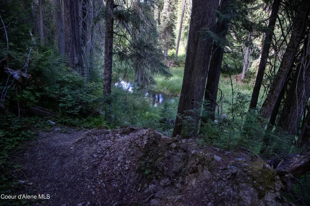 Nka Parcel 1 Highway 12 Unincorporated ID 83525