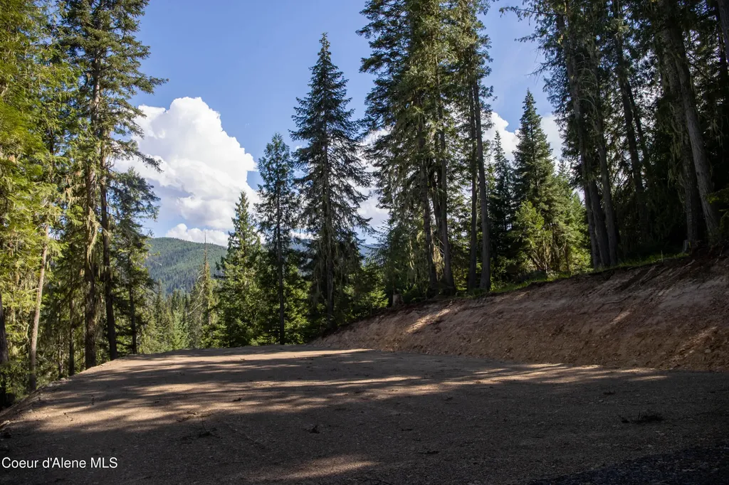 Nka Parcel 1 Highway 12 Unincorporated ID 83525