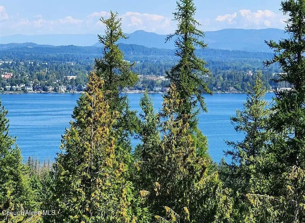 Lot 3 Mountain Ridge Drive Sagle ID 83860