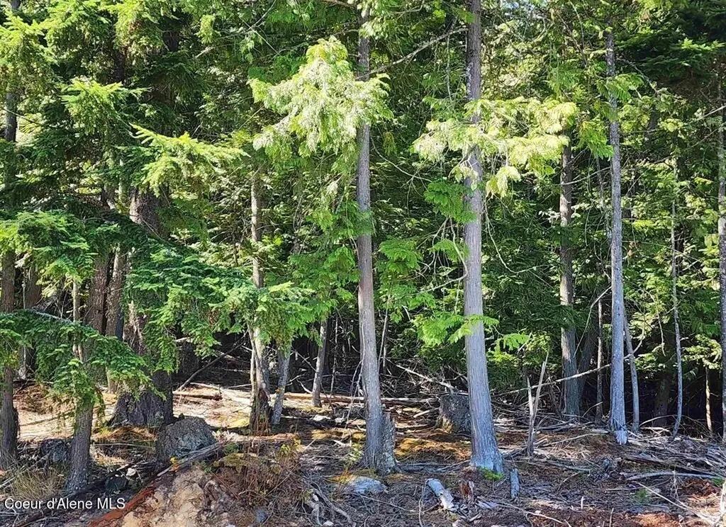 Lot 3 Mountain Ridge Drive Sagle ID 83860