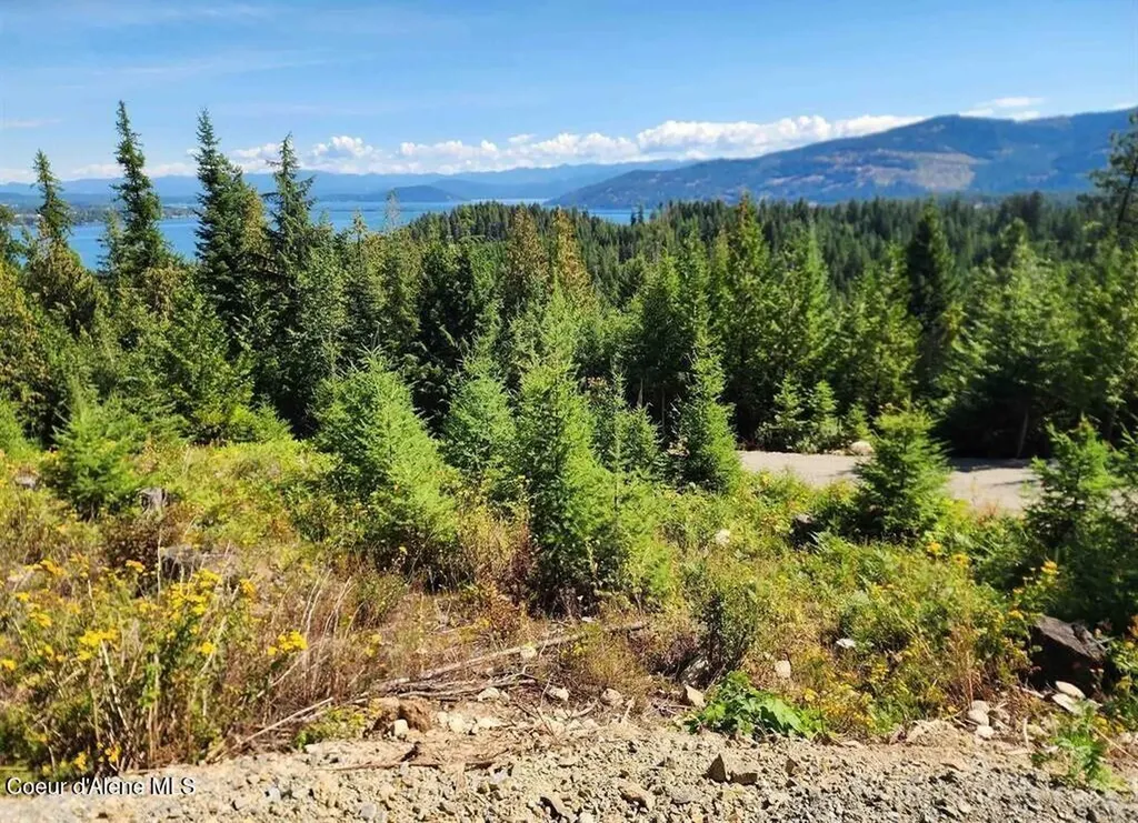 Lot 3 Mountain Ridge Drive Sagle ID 83860