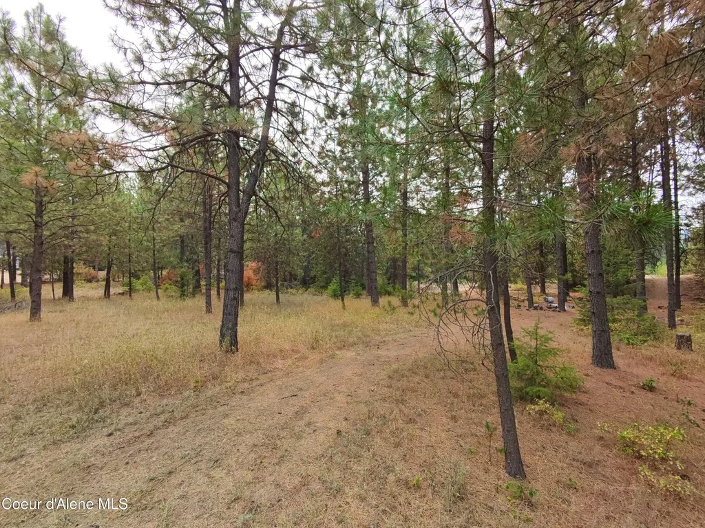 Na 11th Avenue Spirit Lake ID 83869