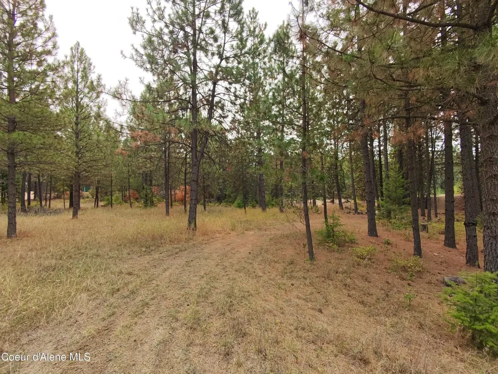 Na 11th Avenue Spirit Lake ID 83869