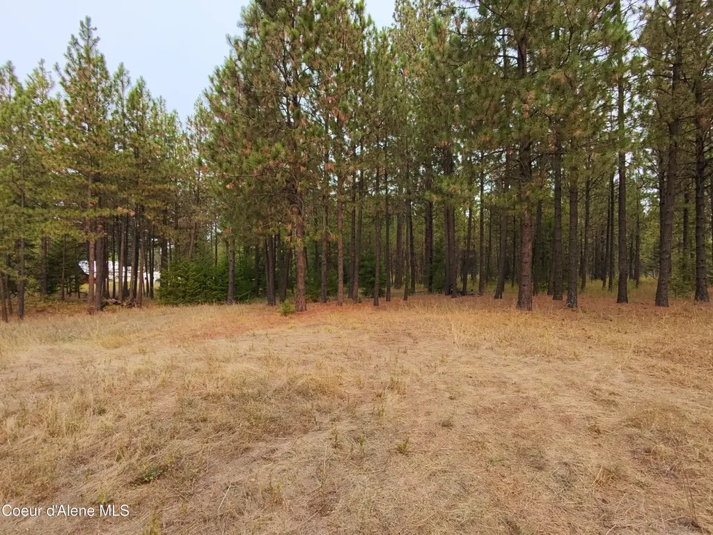 Na 11th Avenue Spirit Lake ID 83869