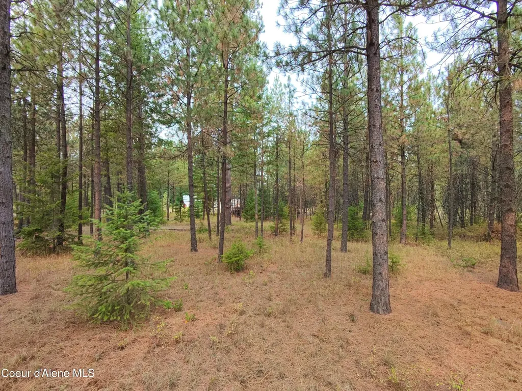 Na 11th Avenue Spirit Lake ID 83869