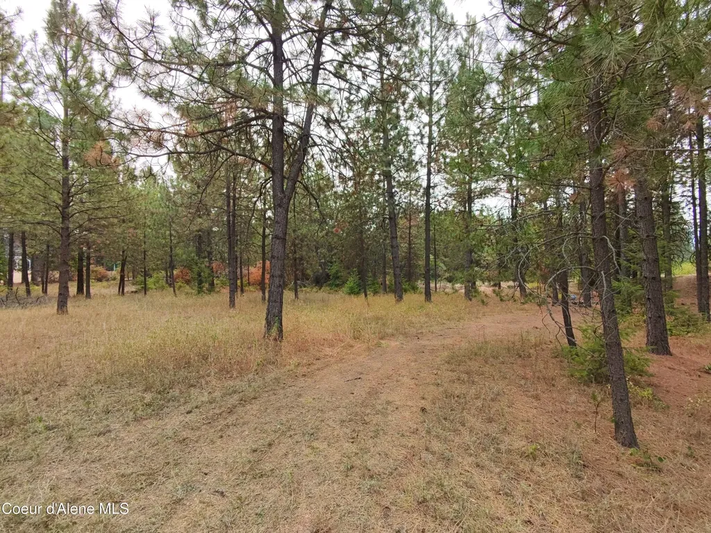 Na 11th Avenue Spirit Lake ID 83869