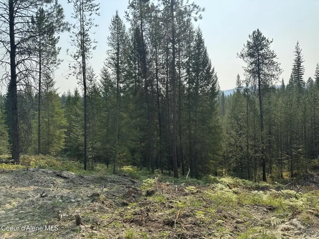 Nna Peninsula Loop Road Priest River ID 83856