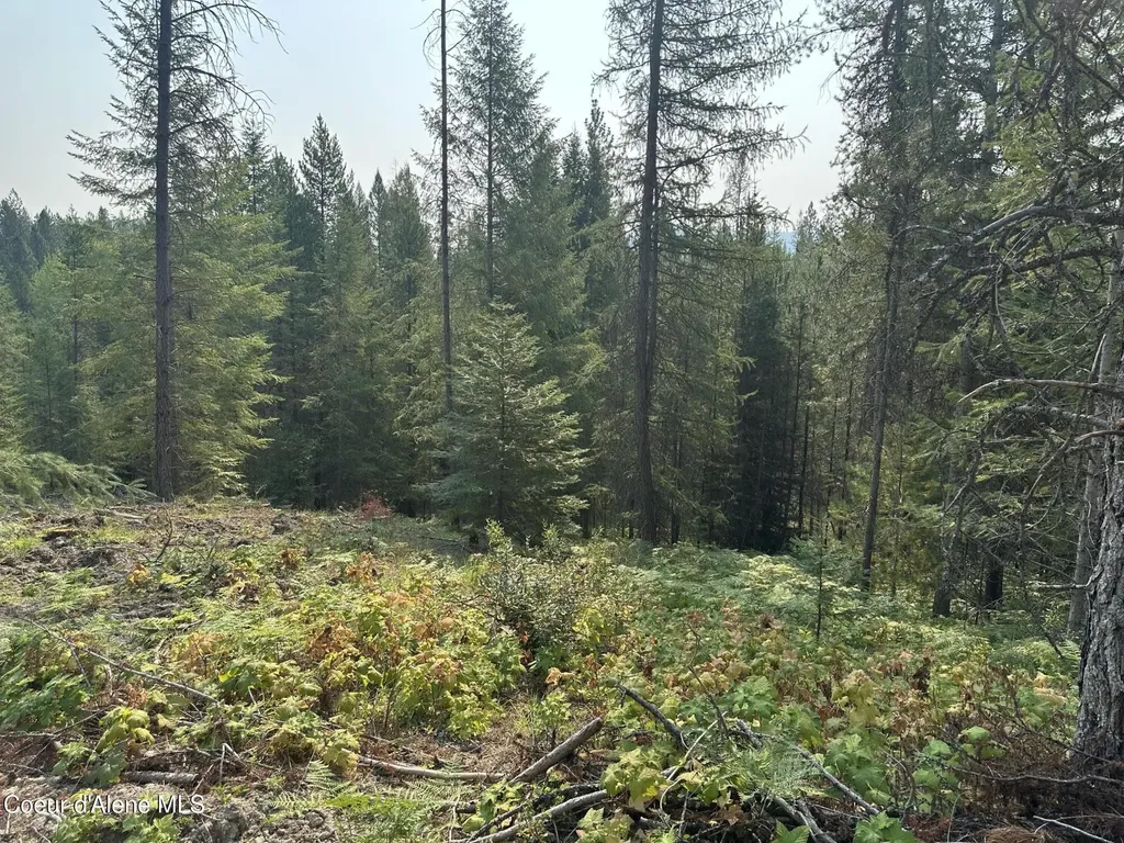 Nna Peninsula Loop Road Priest River ID 83856