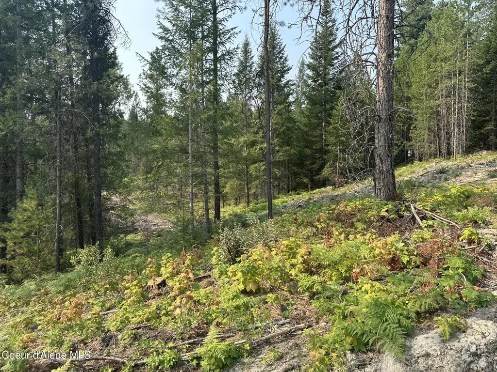 Nna Peninsula Loop Road Priest River ID 83856