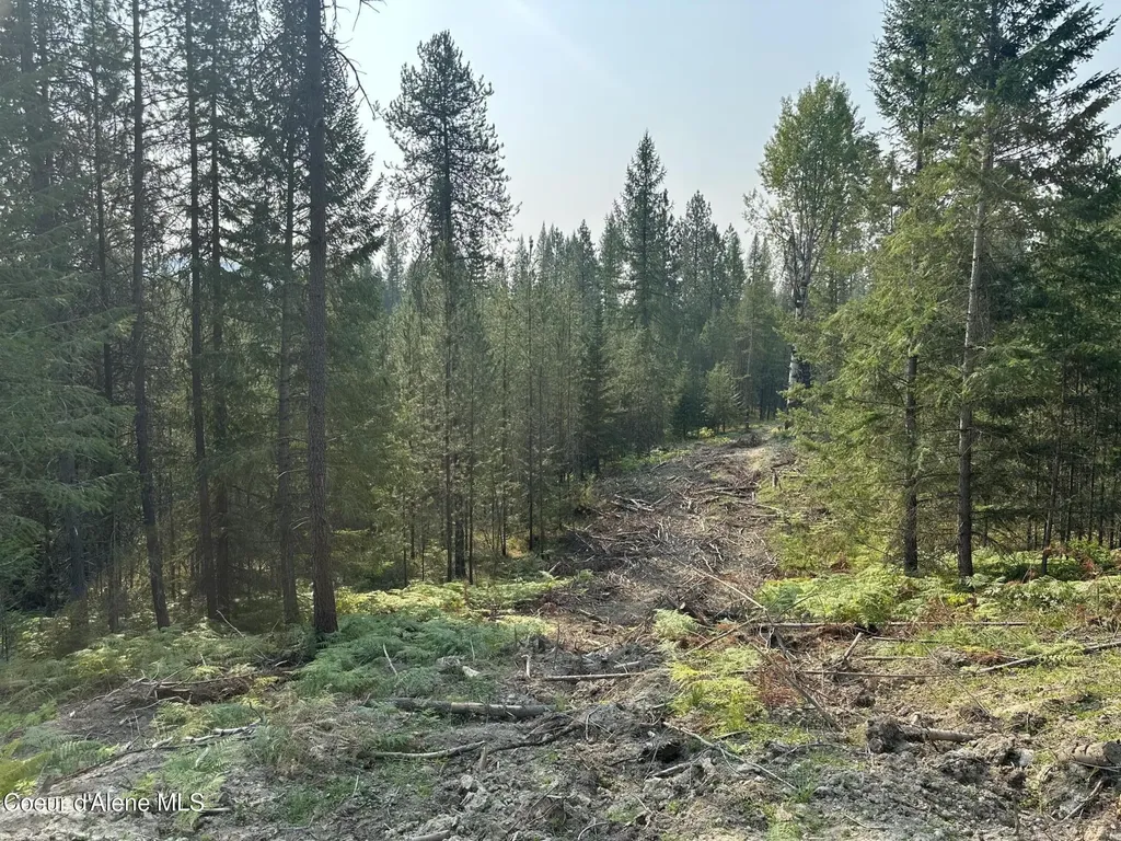 Nna Peninsula Loop Road Priest River ID 83856