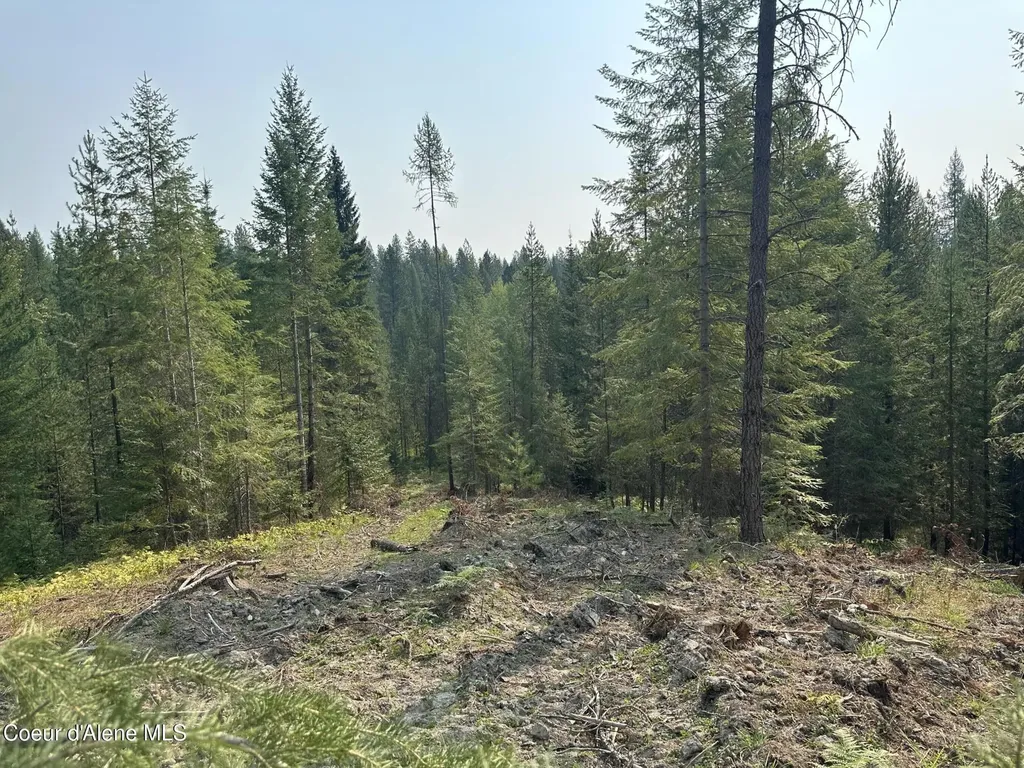 Nna Peninsula Loop Road Priest River ID 83856