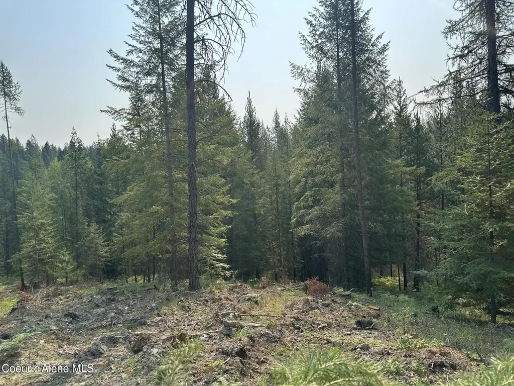 Nna Peninsula Loop Road Priest River ID 83856
