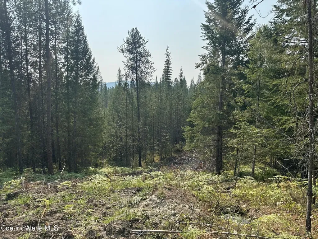 Nna Peninsula Loop Road Priest River ID 83856