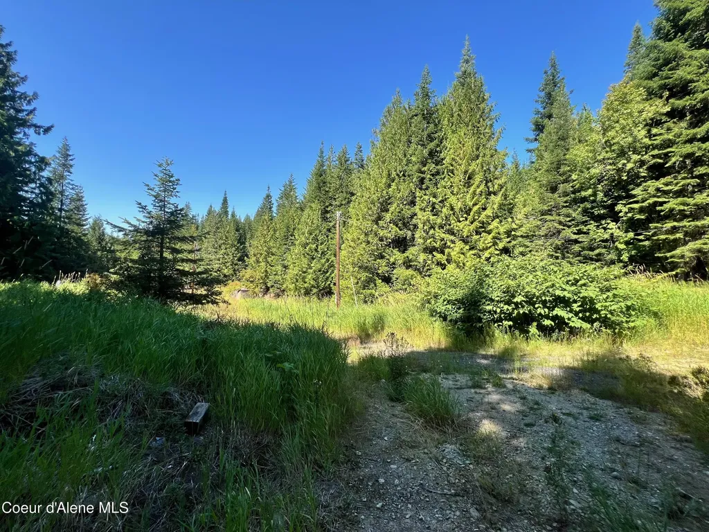 1742 Dusty Lane St. Maries ID 83861