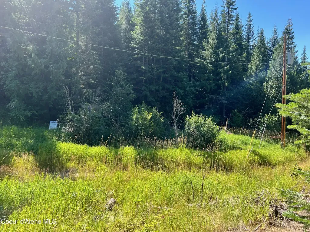 1742 Dusty Lane St. Maries ID 83861