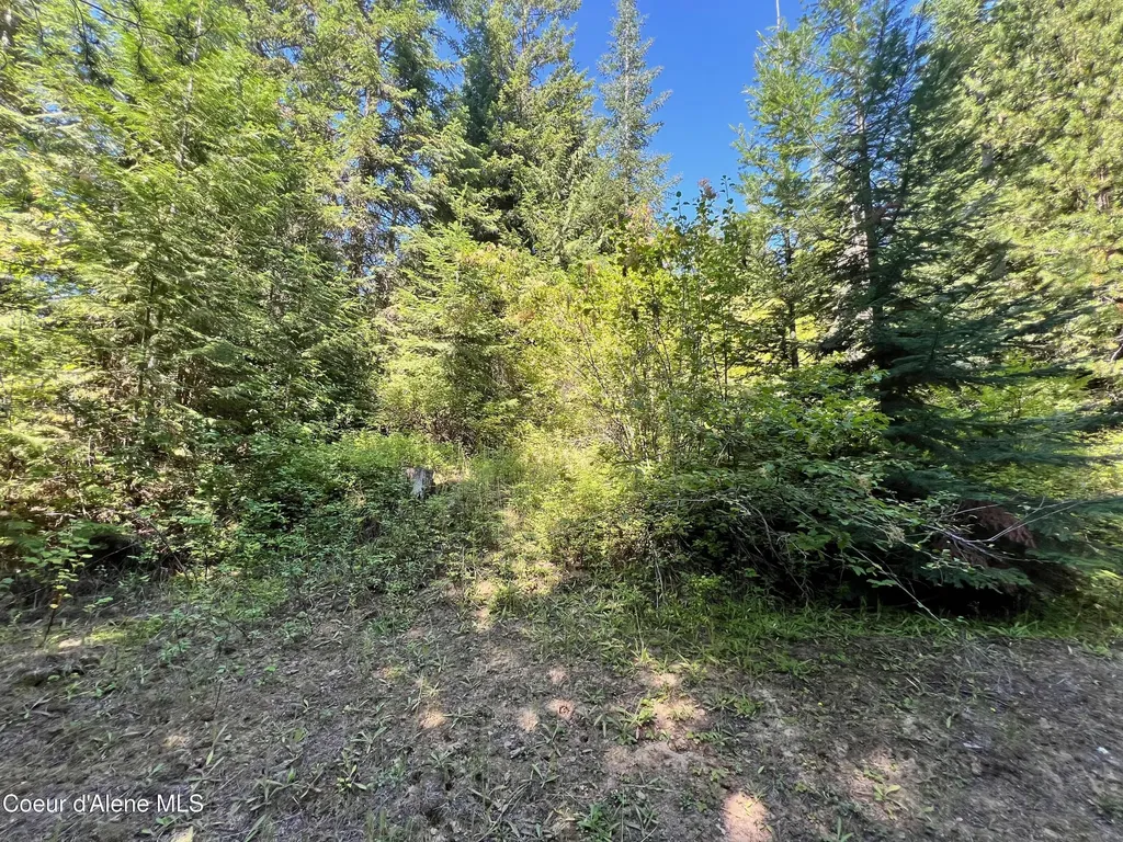 1742 Dusty Lane St. Maries ID 83861