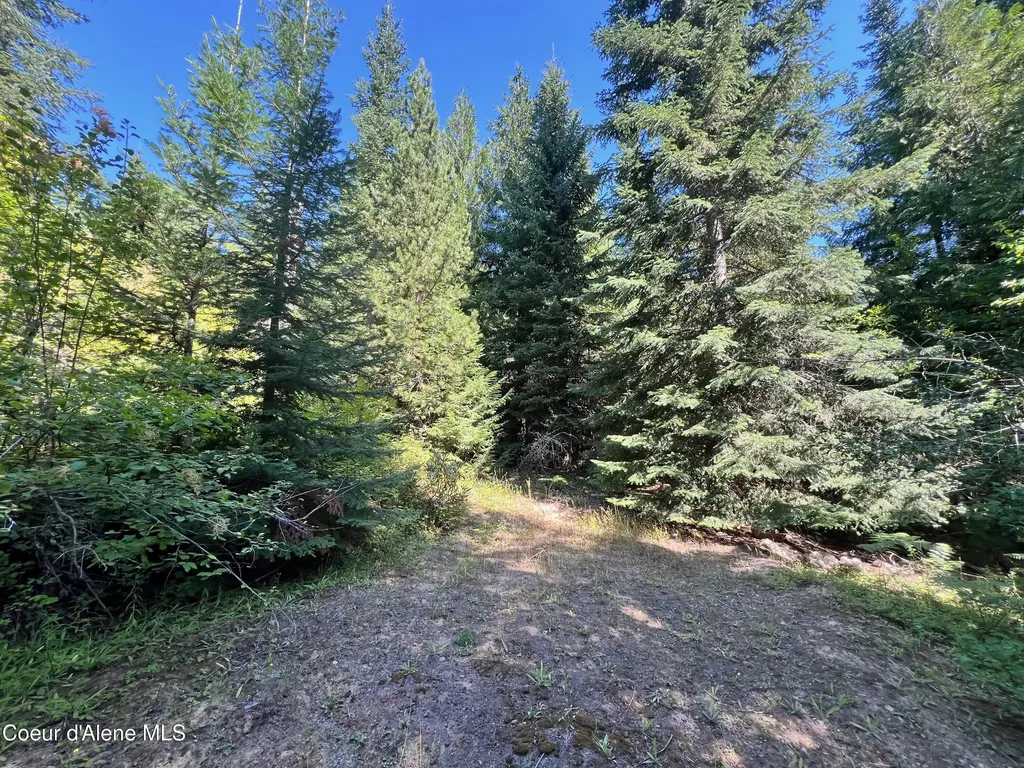 1742 Dusty Lane St. Maries ID 83861