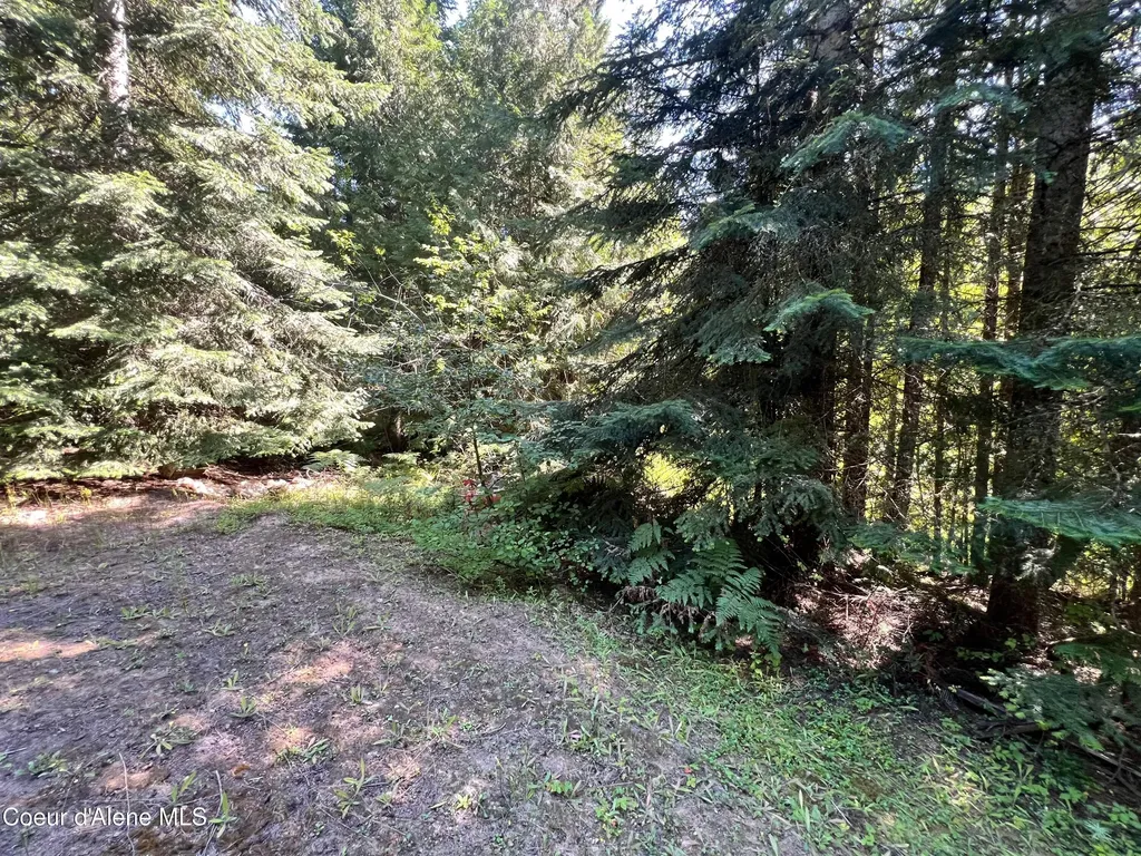 1742 Dusty Lane St. Maries ID 83861