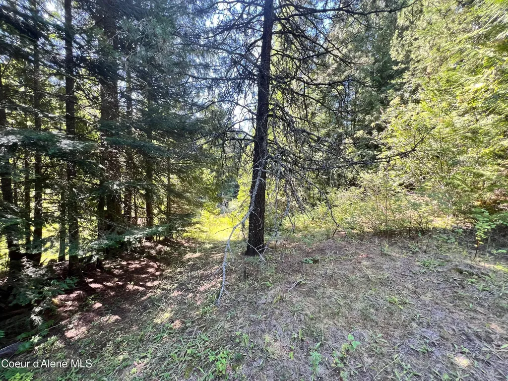 1742 Dusty Lane St. Maries ID 83861