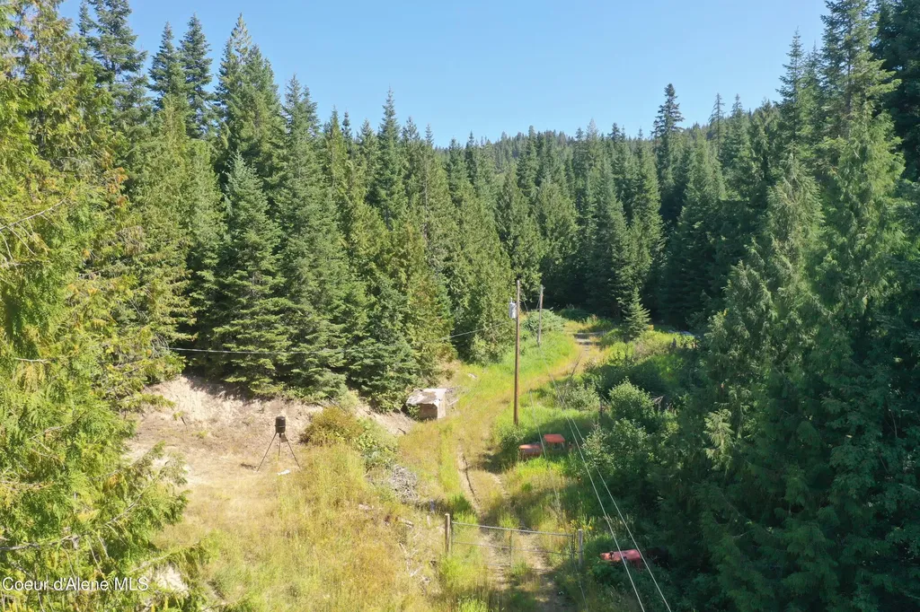 1742 Dusty Lane St. Maries ID 83861