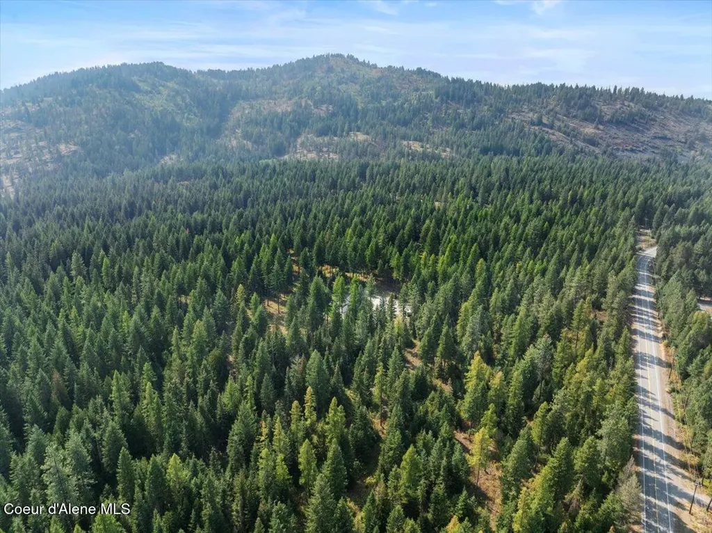 1352 W Brunner Road Athol ID 83801