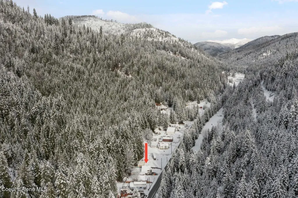 741 9 Mile Creek Road Wallace ID 83873