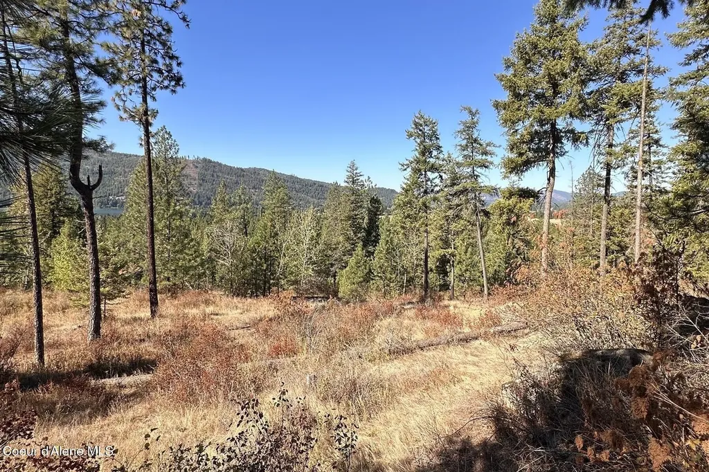 Lot 1a Moose Mountain Priest River ID 83856