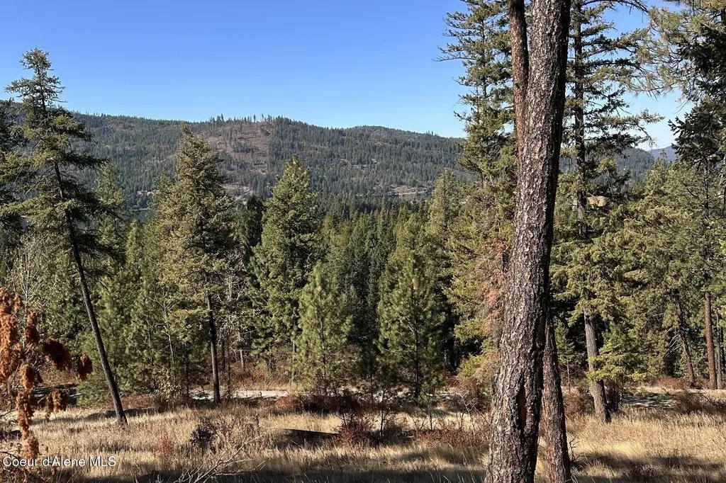 Lot 1a Moose Mountain Priest River ID 83856