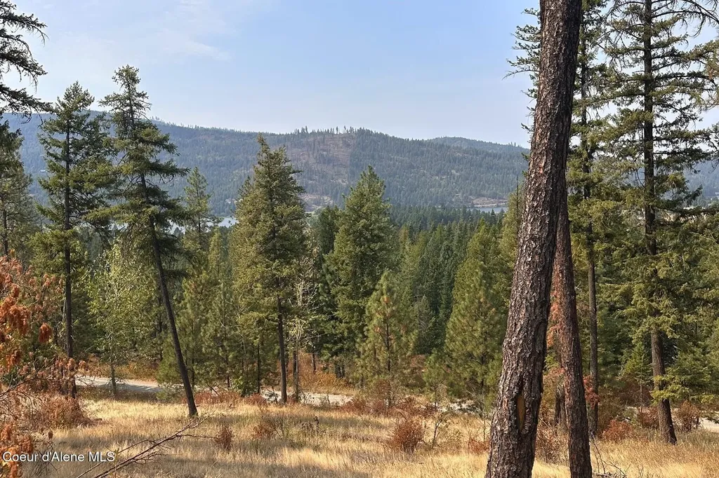 Lot 1a Moose Mountain Priest River ID 83856