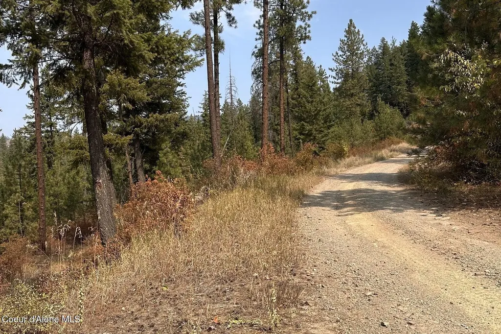 Lot 1a Moose Mountain Priest River ID 83856