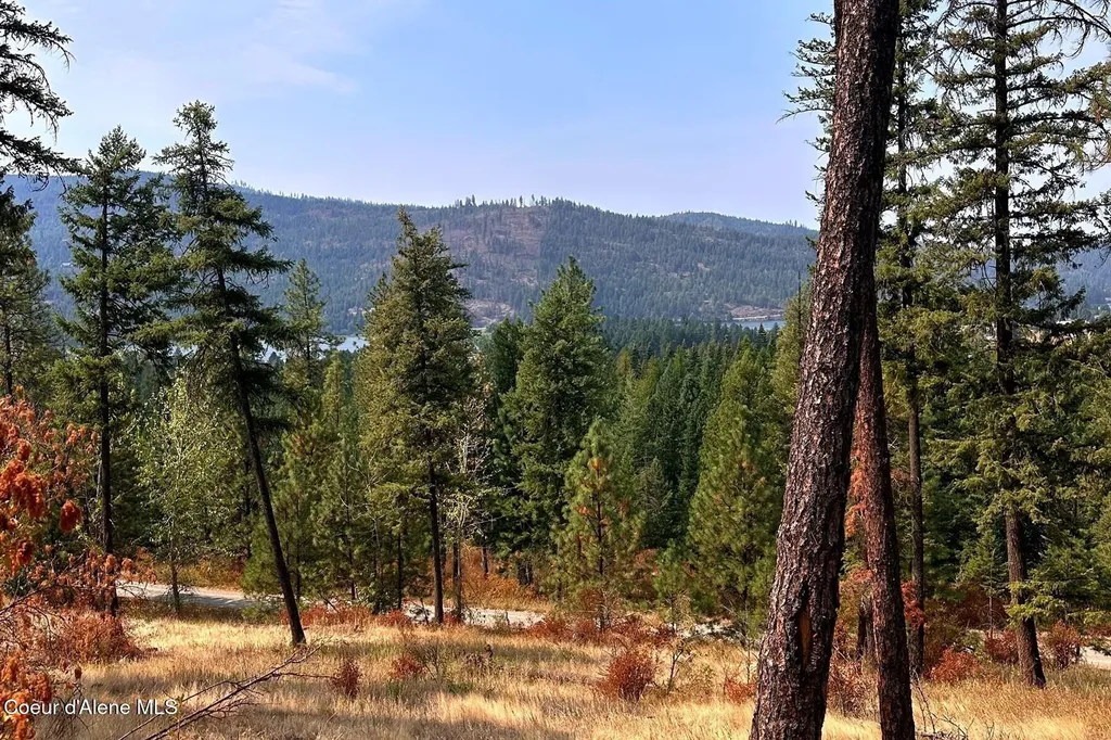 Lot 1a Moose Mountain Priest River ID 83856