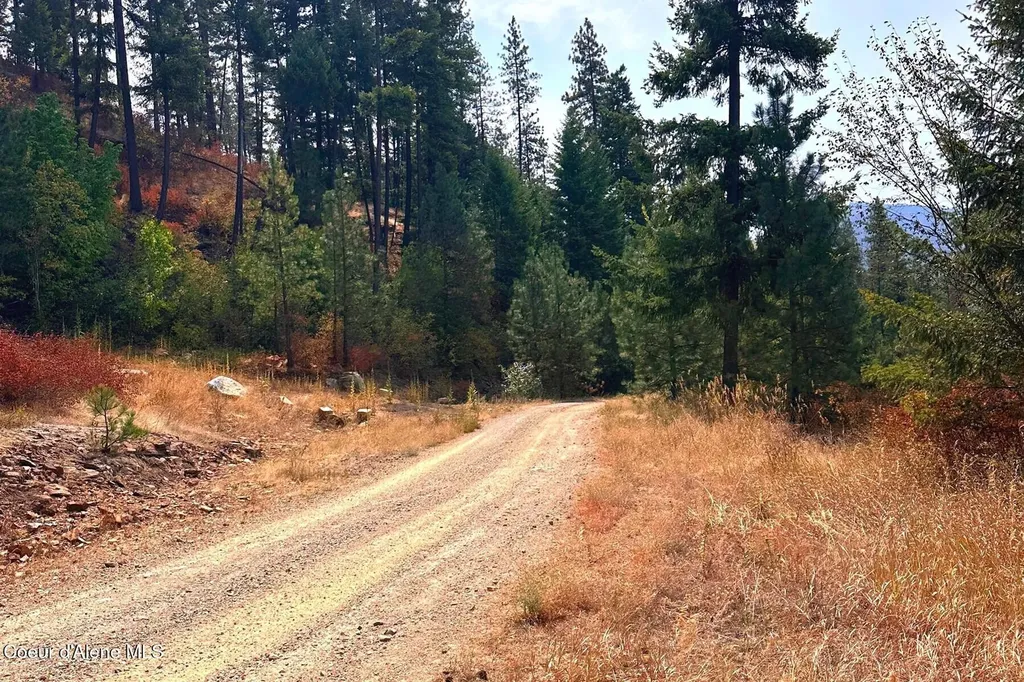 Lot 1a Moose Mountain Priest River ID 83856